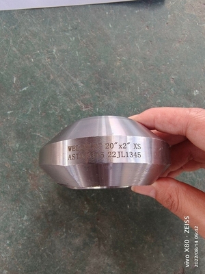 Geschmiedete Stahlfitting ASTM A105 F304 6000# Weldolet