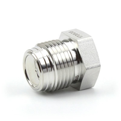 ASME/ANSI Kohlenstoffstahl Edelstahl Hochdruckstufe Stecker Rohrverbindungen für industrielle Steckdosen
