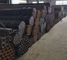 ASTM A213 Klasse P1 nahtlos beschichtete Stahlrohre ASME B36.10 Kohlenstoffstahl beschichtete runde Rohre