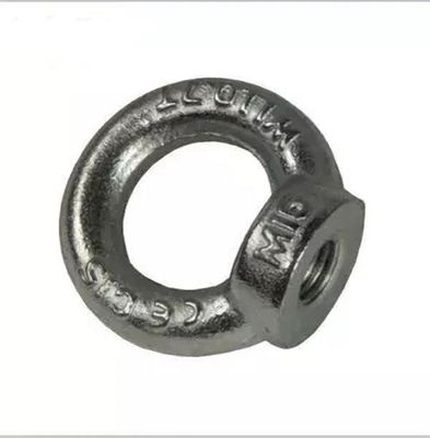 JIS B1168 galvanisierte anhebende Augen-Nüsse DIN582 SS304