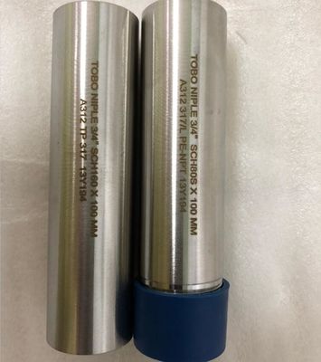 Innengewinde-Edelstahl-Nippel SS A312 TP317