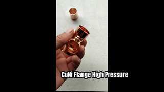 CuNi 90/10 Flanschschweißhals EEMUA 145