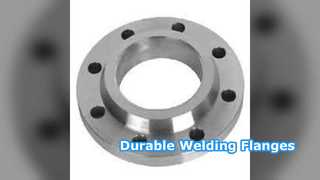 Schweißhalsflansche SS304 SS316 PN6