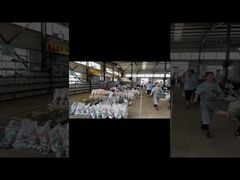 In unserer modernen Industrieanlage | Besichtigung der Produktionsstätte